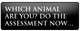 Which animal are you? Do the assessment now...